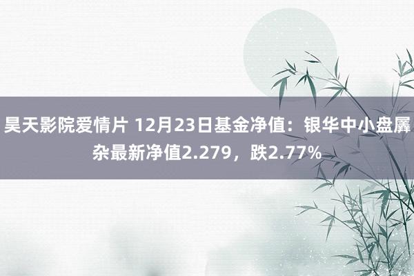 昊天影院爱情片 12月23日基金净值：银华中小盘羼杂最新净值2.279，跌2.77%