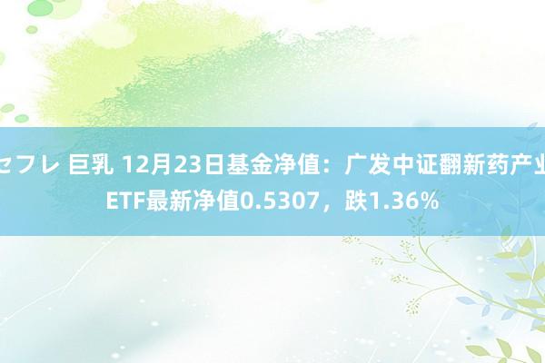 セフレ 巨乳 12月23日基金净值：广发中证翻新药产业ETF最新净值0.5307，跌1.36%