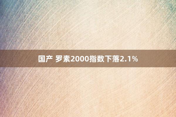 国产 罗素2000指数下落2.1%