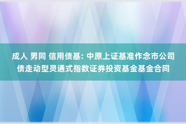 成人 男同 信用债基: 中原上证基准作念市公司债走动型灵通式指数证券投资基金基金合同