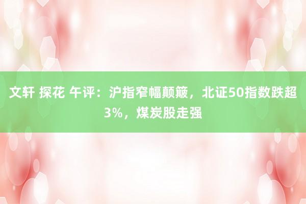 文轩 探花 午评：沪指窄幅颠簸，北证50指数跌超3%，煤炭股走强