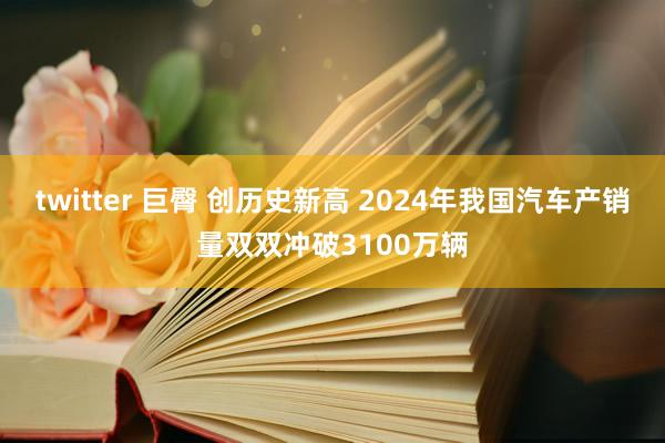 twitter 巨臀 创历史新高 2024年我国汽车产销量双双冲破3100万辆