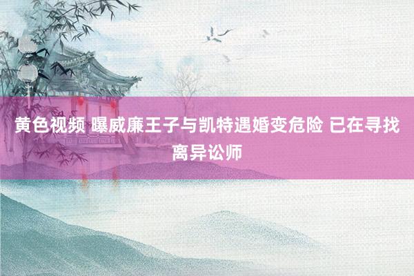 黄色视频 曝威廉王子与凯特遇婚变危险 已在寻找离异讼师