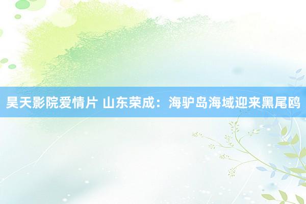 昊天影院爱情片 山东荣成：海驴岛海域迎来黑尾鸥