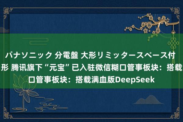 パナソニック 分電盤 大形リミッタースペース付 露出・半埋込両用形 腾讯旗下“元宝”已入驻微信糊口管事板块：搭载满血版DeepSeek