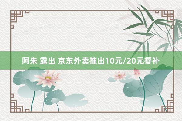阿朱 露出 京东外卖推出10元/20元餐补