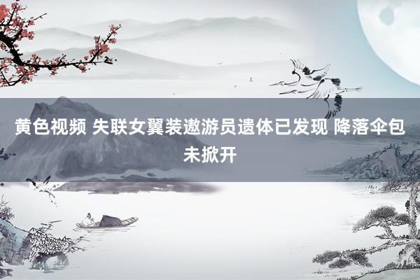 黄色视频 失联女翼装遨游员遗体已发现 降落伞包未掀开