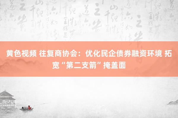 黄色视频 往复商协会：优化民企债券融资环境 拓宽“第二支箭”掩盖面