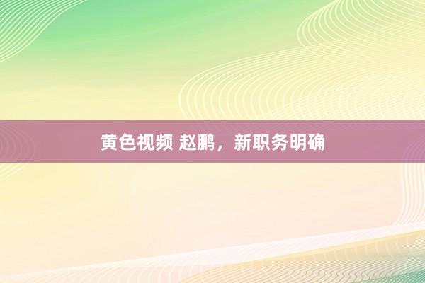 黄色视频 赵鹏，新职务明确