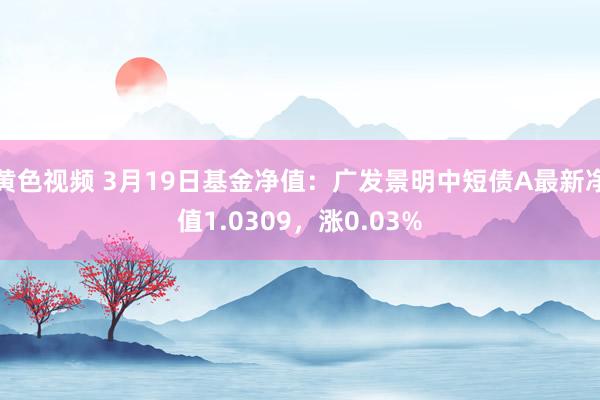 黄色视频 3月19日基金净值：广发景明中短债A最新净值1.0309，涨0.03%