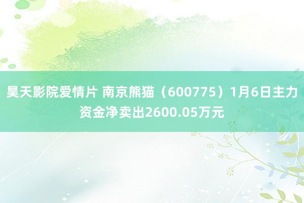 昊天影院爱情片 南京熊猫（600775）1月6日主力资金净卖出2600.05万元