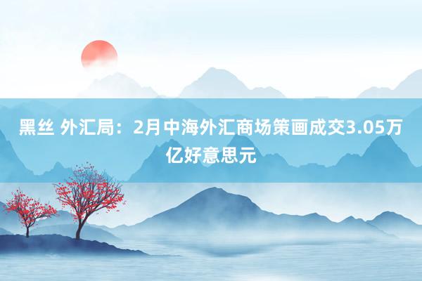 黑丝 外汇局：2月中海外汇商场策画成交3.05万亿好意思元