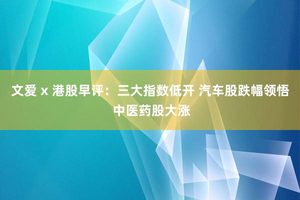 文爱 x 港股早评：三大指数低开 汽车股跌幅领悟 中医药股大涨