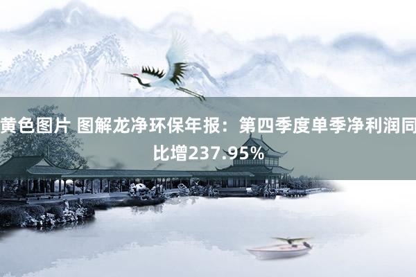 黄色图片 图解龙净环保年报：第四季度单季净利润同比增237.95%