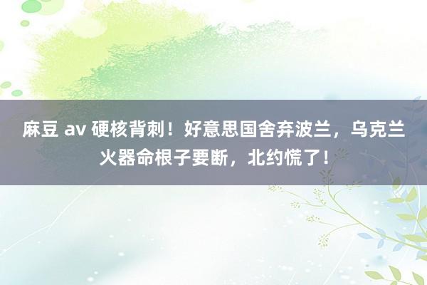 麻豆 av 硬核背刺！好意思国舍弃波兰，乌克兰火器命根子要断，北约慌了！