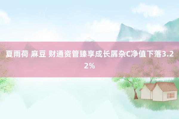 夏雨荷 麻豆 财通资管臻享成长羼杂C净值下落3.22%