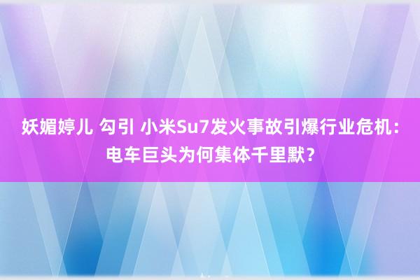 妖媚婷儿 勾引 小米Su7发火事故引爆行业危机：电车巨头为何集体千里默？