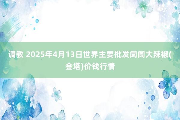 调教 2025年4月13日世界主要批发阛阓大辣椒(金塔)价钱行情