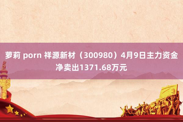 萝莉 porn 祥源新材（300980）4月9日主力资金净卖出1371.68万元