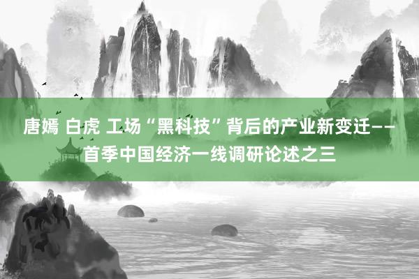 唐嫣 白虎 工场“黑科技”背后的产业新变迁——首季中国经济一线调研论述之三