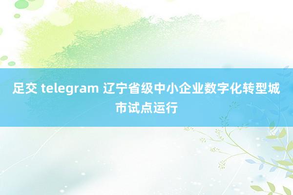 足交 telegram 辽宁省级中小企业数字化转型城市试点运行